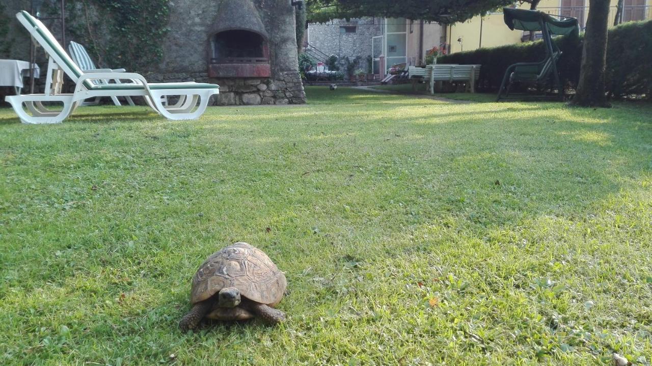 Corte Faliva Brenzone sul Garda Esterno foto